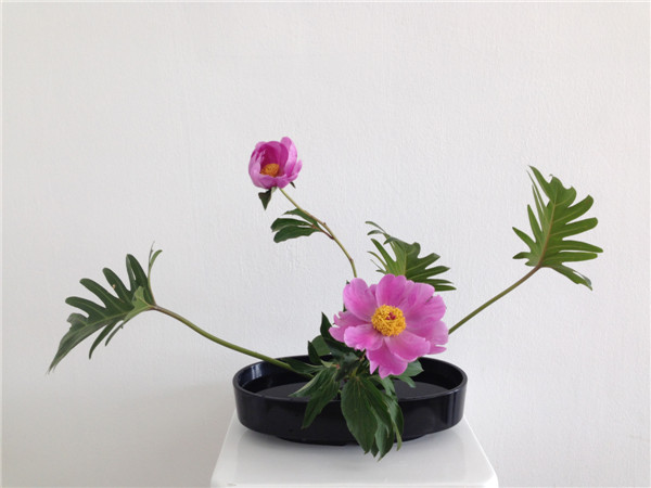 照片 011.jpg